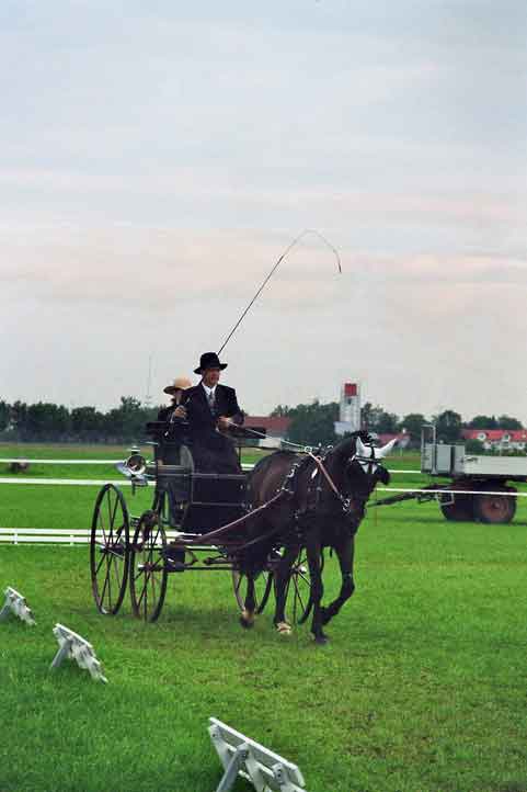 Fahrturnier 2006