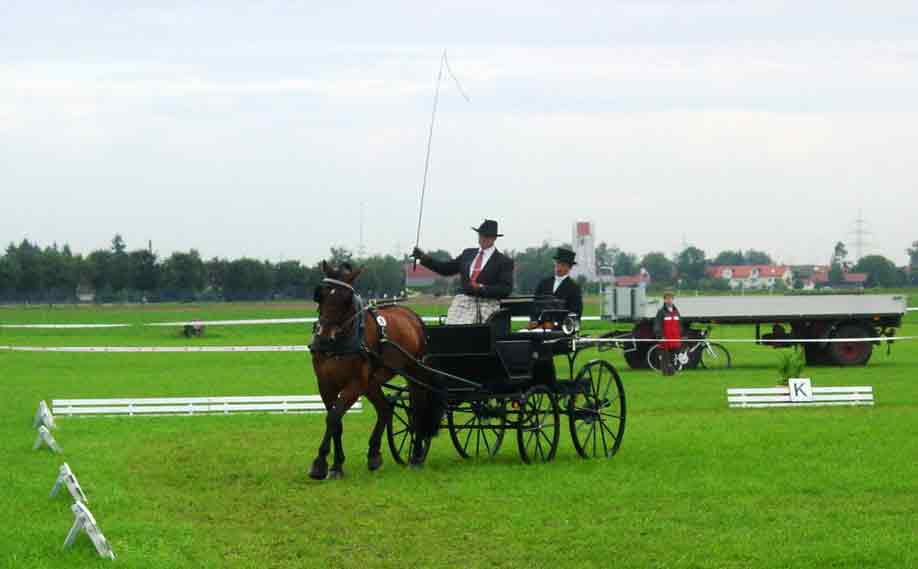 Fahrturnier 2006