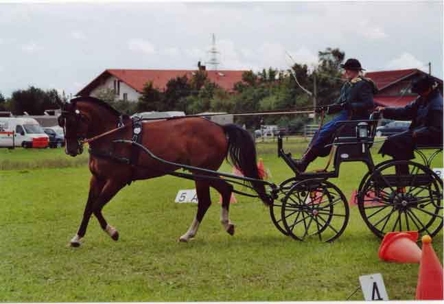 Fahrturnier 2006