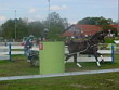 Fahrturnier 2006