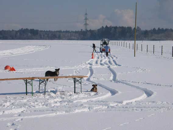 Skij�ring 2006