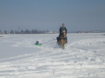 Skij�ring 2006