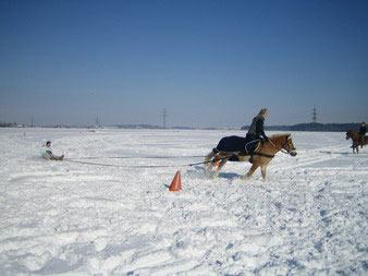 Skij�ring 2006