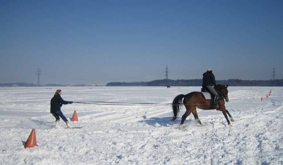 Skij�ring 2006
