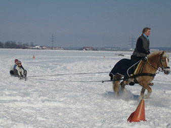 Skij�ring 2006