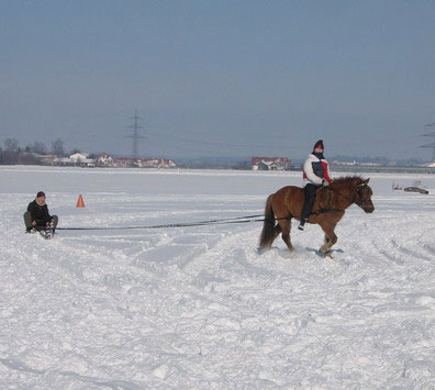 Skij�ring 2006