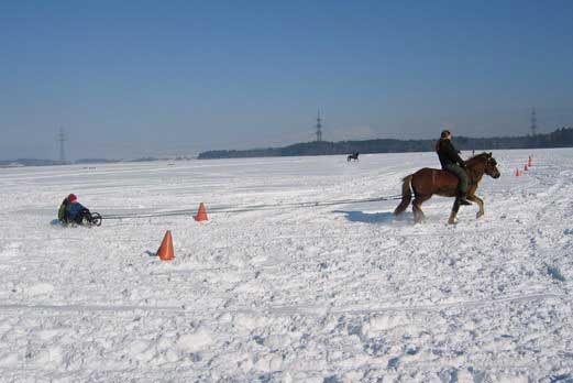 Skij�ring 2006