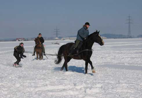Skij�ring 2006