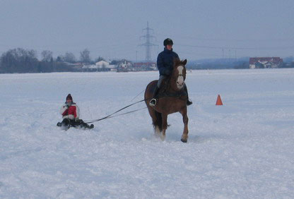 Skij�ring 2006