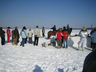Skij�ring 2006
