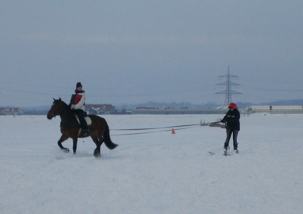 Skij�ring 2006