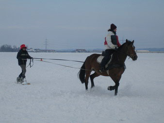 Skij�ring 2006