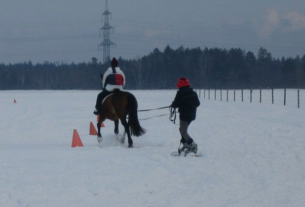 Skij�ring 2006