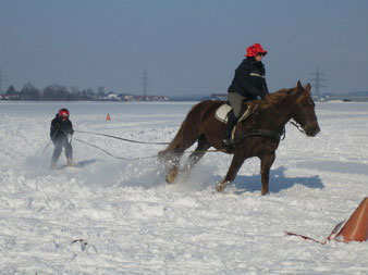 Skij�ring 2006