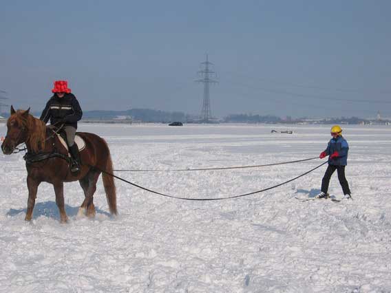 Skij�ring 2006