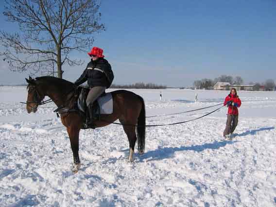 Skij�ring 2006