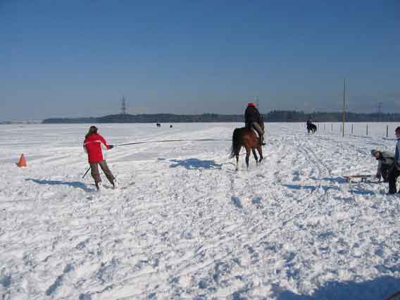 Skij�ring 2006