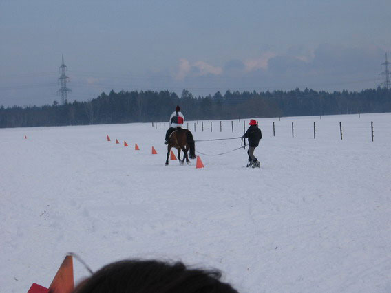 Skij�ring 2006