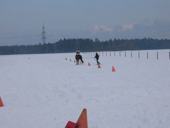 Skij�ring 2006