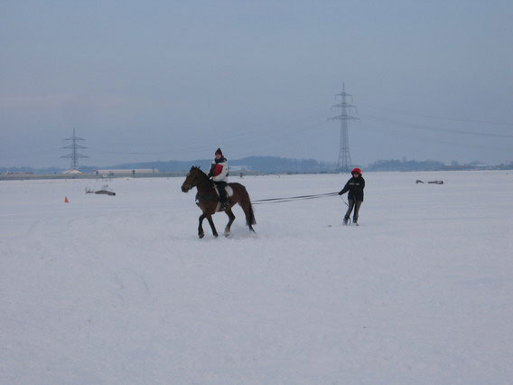 Skij�ring 2006