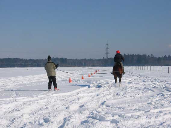 Skij�ring 2006