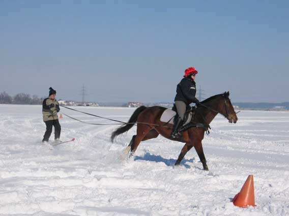 Skij�ring 2006