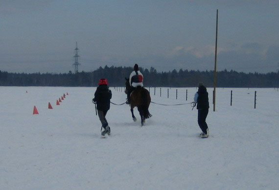 Skij�ring 2006