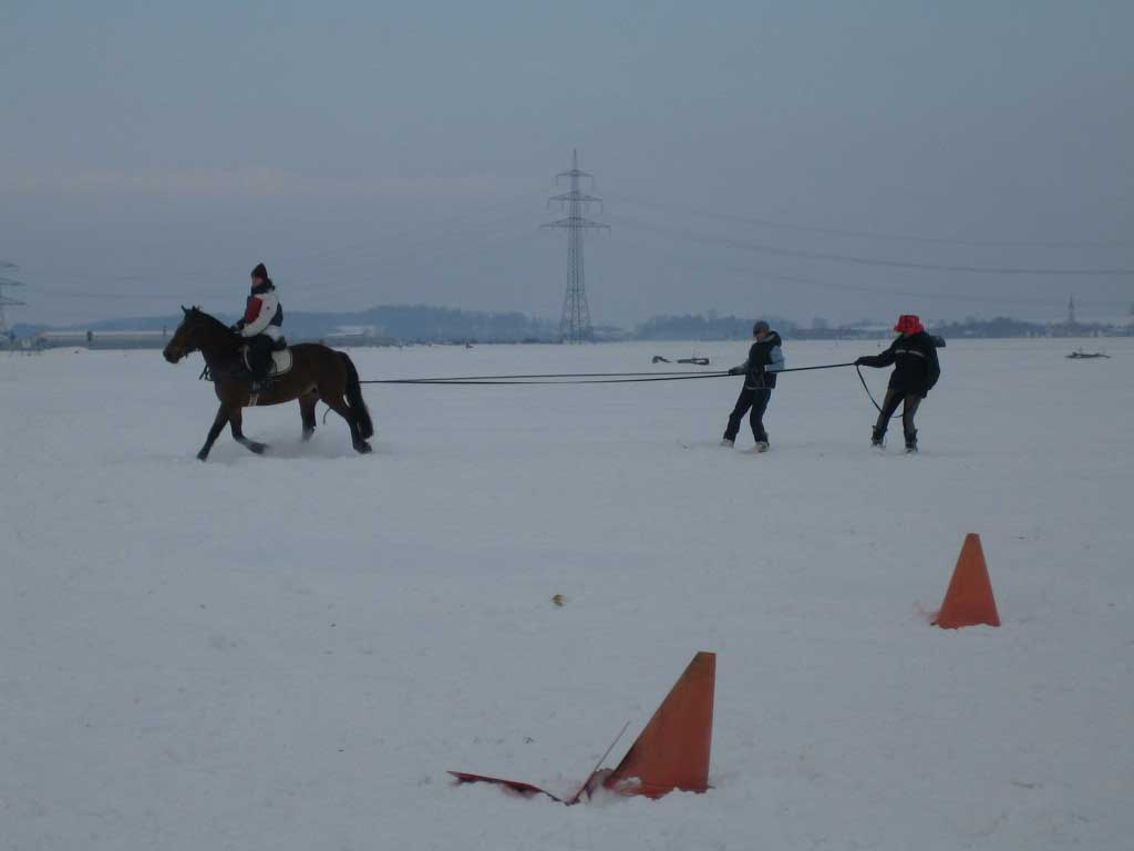 Skij�ring 2006