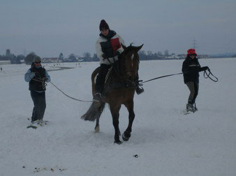 Skij�ring 2006