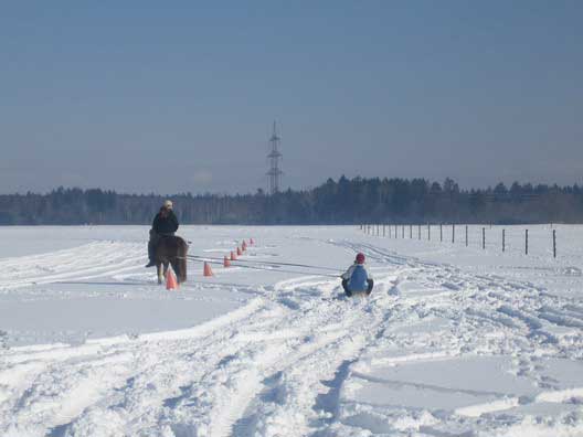Skij�ring 2006
