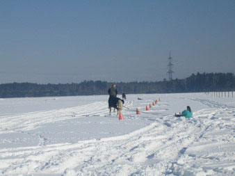 Skij�ring 2006