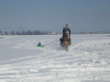 Skijöring 2006