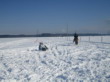 Skijöring 2006