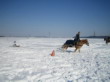 Skijöring 2006