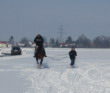 Skijöring 2006