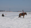 Skijöring 2006