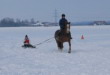 Skijöring 2006