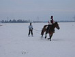 Skijöring 2006