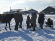 Skijöring 2006