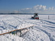 Skijöring 2006