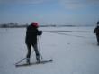 Skijöring 2006