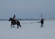 Skijöring 2006