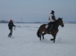 Skijöring 2006