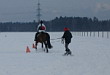 Skijöring 2006