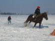 Skijöring 2006