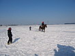Skijöring 2006