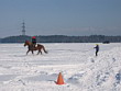 Skijöring 2006