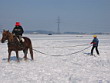 Skijöring 2006