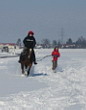 Skijöring 2006