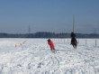 Skijöring 2006
